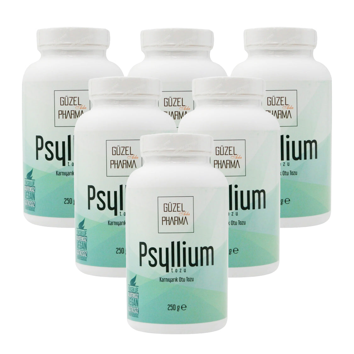 Psyllium Husk Herb Powder 6X250G