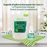 Psyllium Karnıyarık Otu Tozu 2X250G