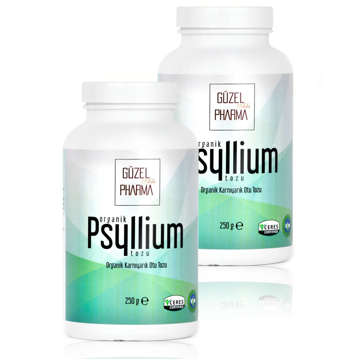 Psyllium Karnıyarık Otu Tozu 2X250G